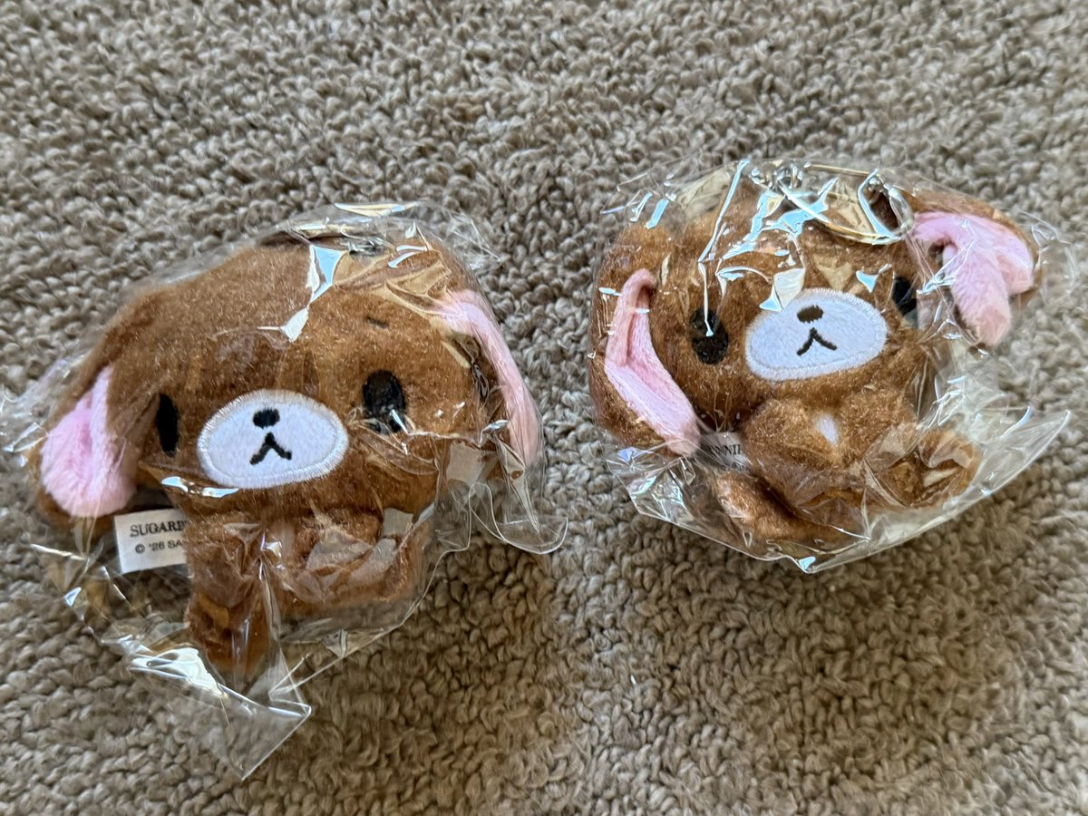 chun_thkk's tweet photo. シュガーバニーズ ぬいぐるみ キーホルダー ガチャガチャ 交換

譲）くろうさ ×2

求）ブルーベリーうさ、はなうさ

郵送でのお取引希望です。
お気軽にお声かけください。 https://t.co/ig6FBwhgNA