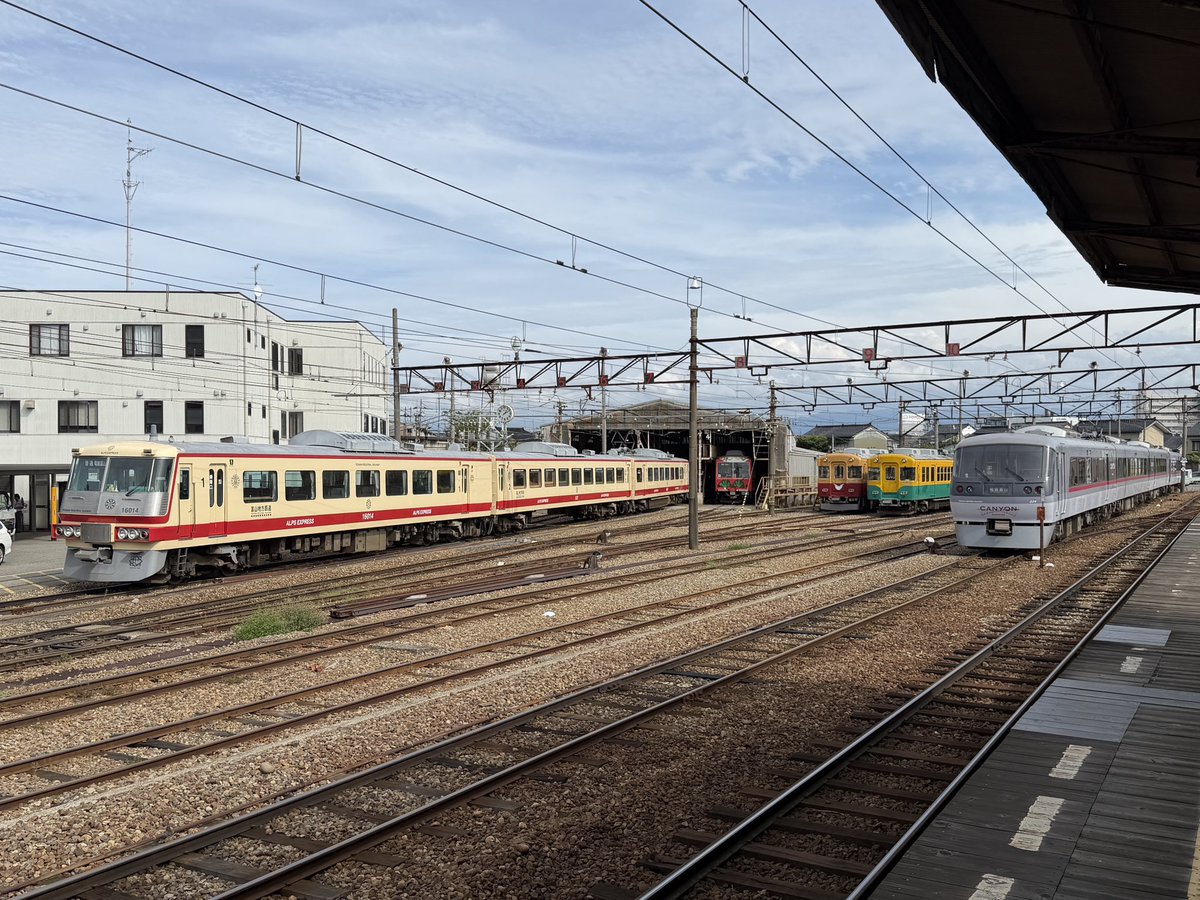 _okoge's tweet photo. 電車フェイス https://t.co/0bmKFtP6UJ