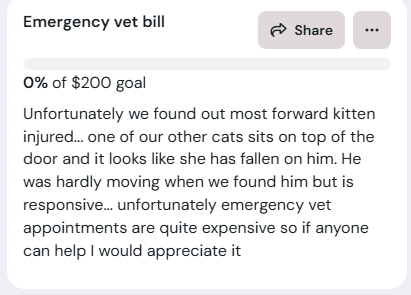 TheTemptresss_'s tweet photo. ❗️❗️I don't usually ask but we are heartbroken as he is a kitten we were going to keep ❗️❗️https://t.co/9k2IkVtfvy https://t.co/ZV9Z79fyuH