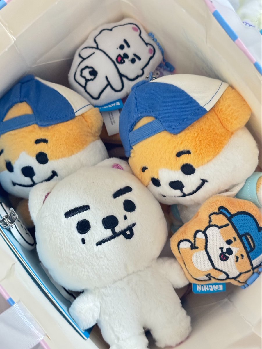 mymiyjake's tweet photo. 🧳 ( 🐶👀 ) https://t.co/gOjeN5Amdl