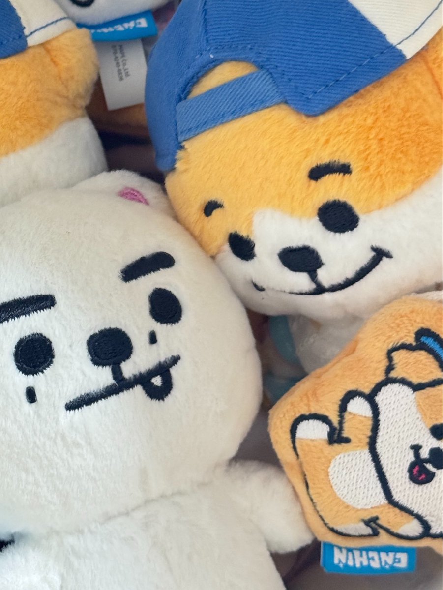 mymiyjake's tweet photo. 🧳 ( 🐶👀 ) https://t.co/gOjeN5Amdl