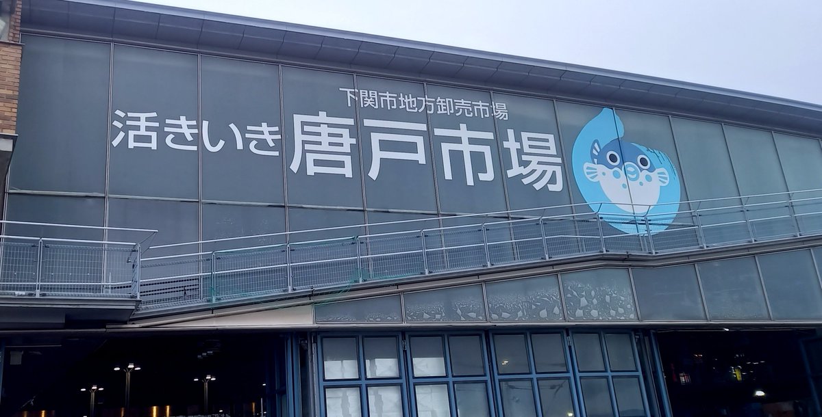 izayoi_07's tweet photo. 初めて唐戸市場にママンと行ってきた🐡
海鮮美味しすぎてまーじでやばかった🍣(っ'ヮ'c) https://t.co/0Gg8o2RngP