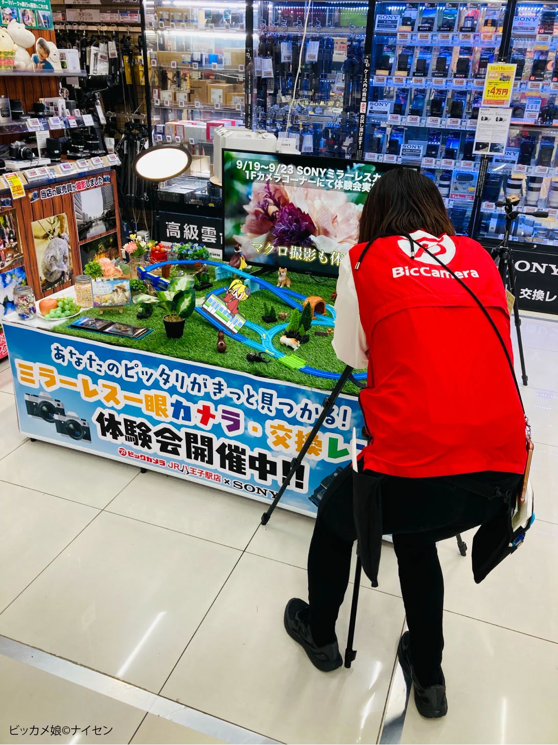 活動歴および当時の関連ビジュアル記録