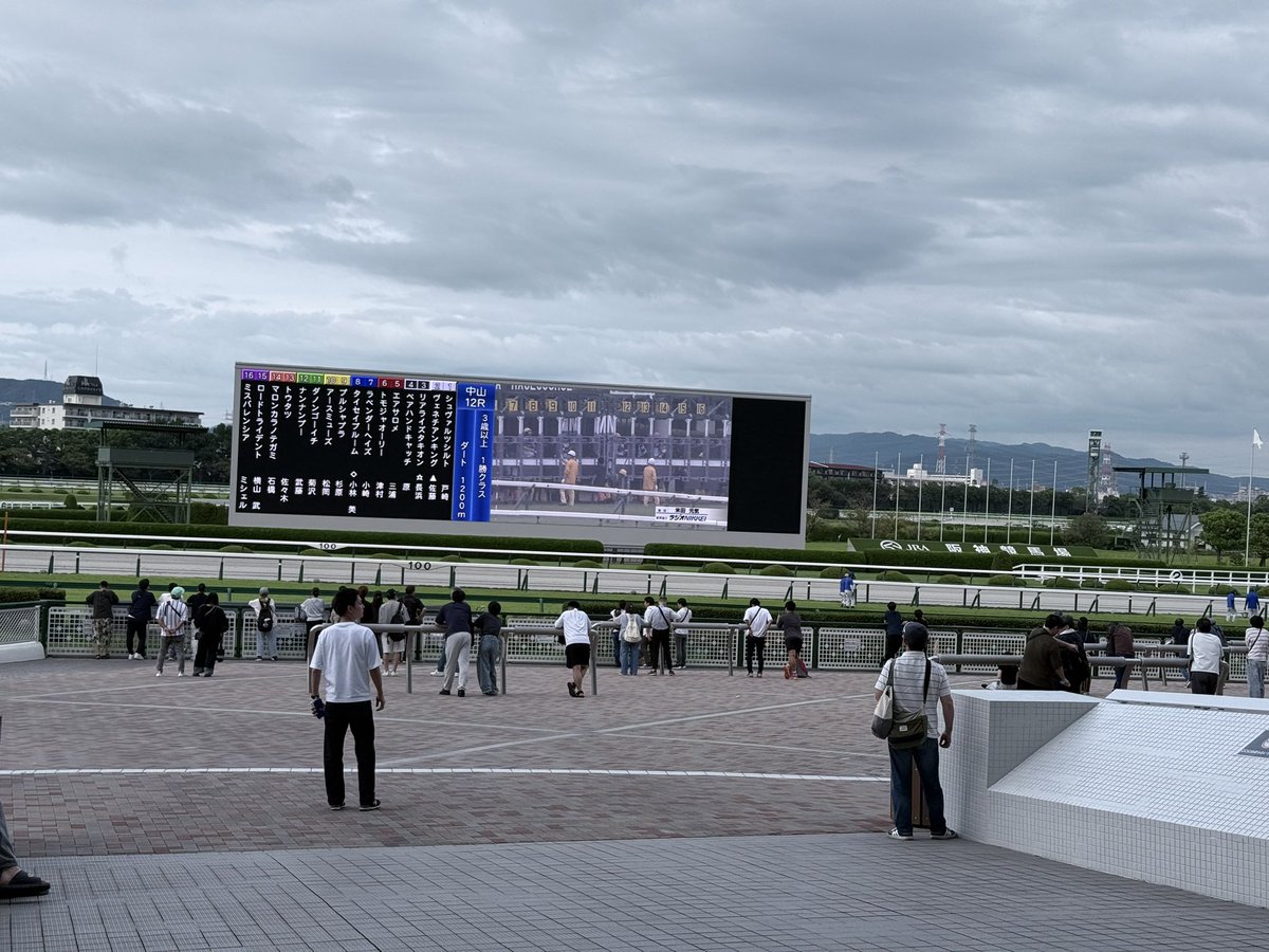 mtmy0910's tweet photo. 今日も楽しく馬活しました🐴🎵 https://t.co/XFuNnC83yF