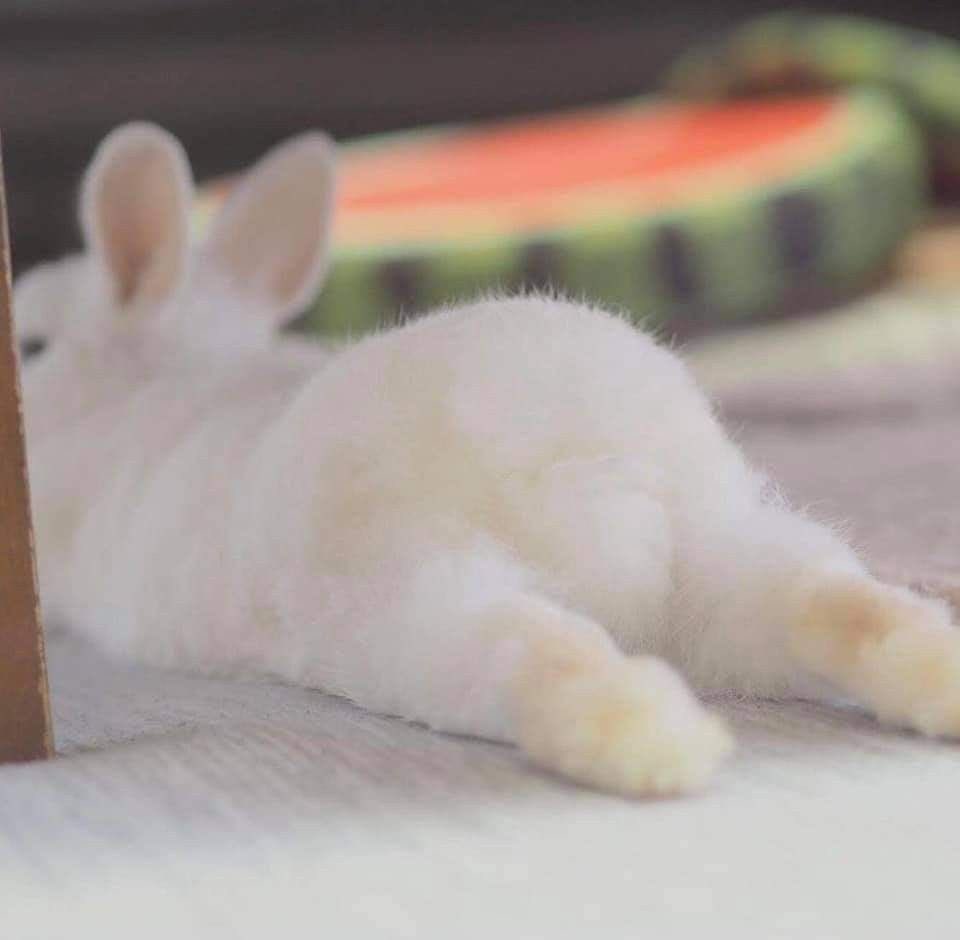 oceannaon's tweet photo. ตุ๊ต๊ะ https://t.co/Mv81idKoVu