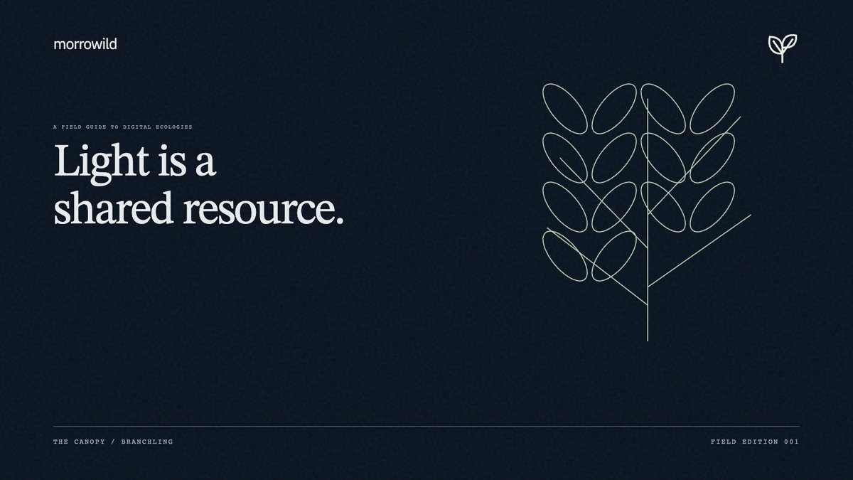 morrowildxyz's tweet photo. In the Canopy, light is a shared resource. Turn availability down and the model's resilience score changes.
The useful question isn't just “can it grow?” It's “what conditions are we giving it?” https://t.co/mgY9DMvGsr
