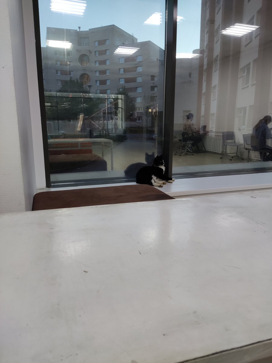 Sayumikko's tweet photo. uni student life https://t.co/GaZIhW7iBW