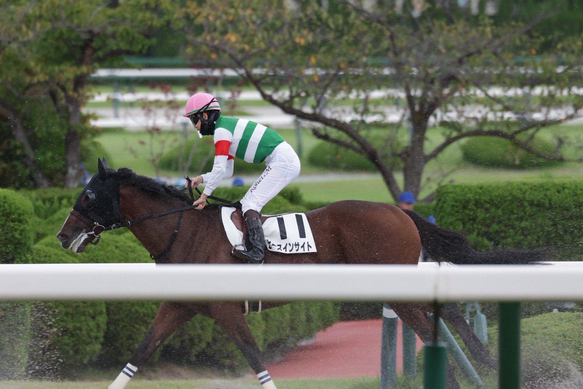 akink0_096's tweet photo. カメラマン@ex_machina_z 
素敵な写真ありがとう🐴✌️💕
今日はピースくん見るのに集中したかったからたくさん写真撮ってもらえて助かった🥹
一緒に応援してくれた皆様もありがとうございました😊 https://t.co/kem6yEbsLl