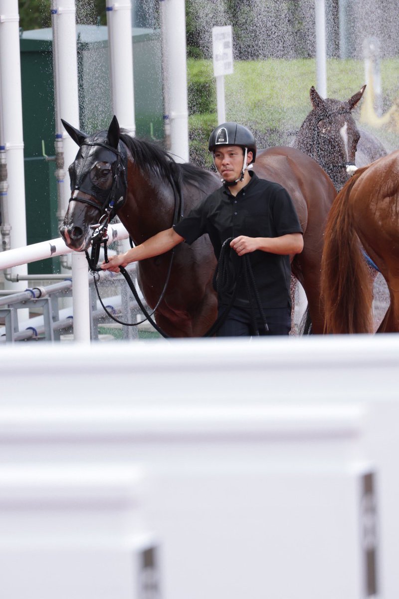 akink0_096's tweet photo. カメラマン@ex_machina_z 
素敵な写真ありがとう🐴✌️💕
今日はピースくん見るのに集中したかったからたくさん写真撮ってもらえて助かった🥹
一緒に応援してくれた皆様もありがとうございました😊 https://t.co/kem6yEbsLl