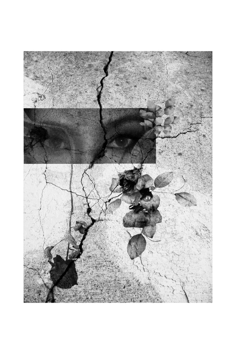 lana_bouloches's tweet photo. 写真展(個展) 〜彩〜

-9/30(水)

「カフェ カルディー」 さんにて20点展示させて戴いています。

9:00-17:00

定休日…(火)

photo: nao @studio_opera_ex &amp; 毛玉
collage &amp; decoration: 毛玉
model: 毛玉

ご縁を戴き、ありがとうございます。

#個展
#展示
#カフェ
#写真
#柏 https://t.co/ovtKZwNEZT
