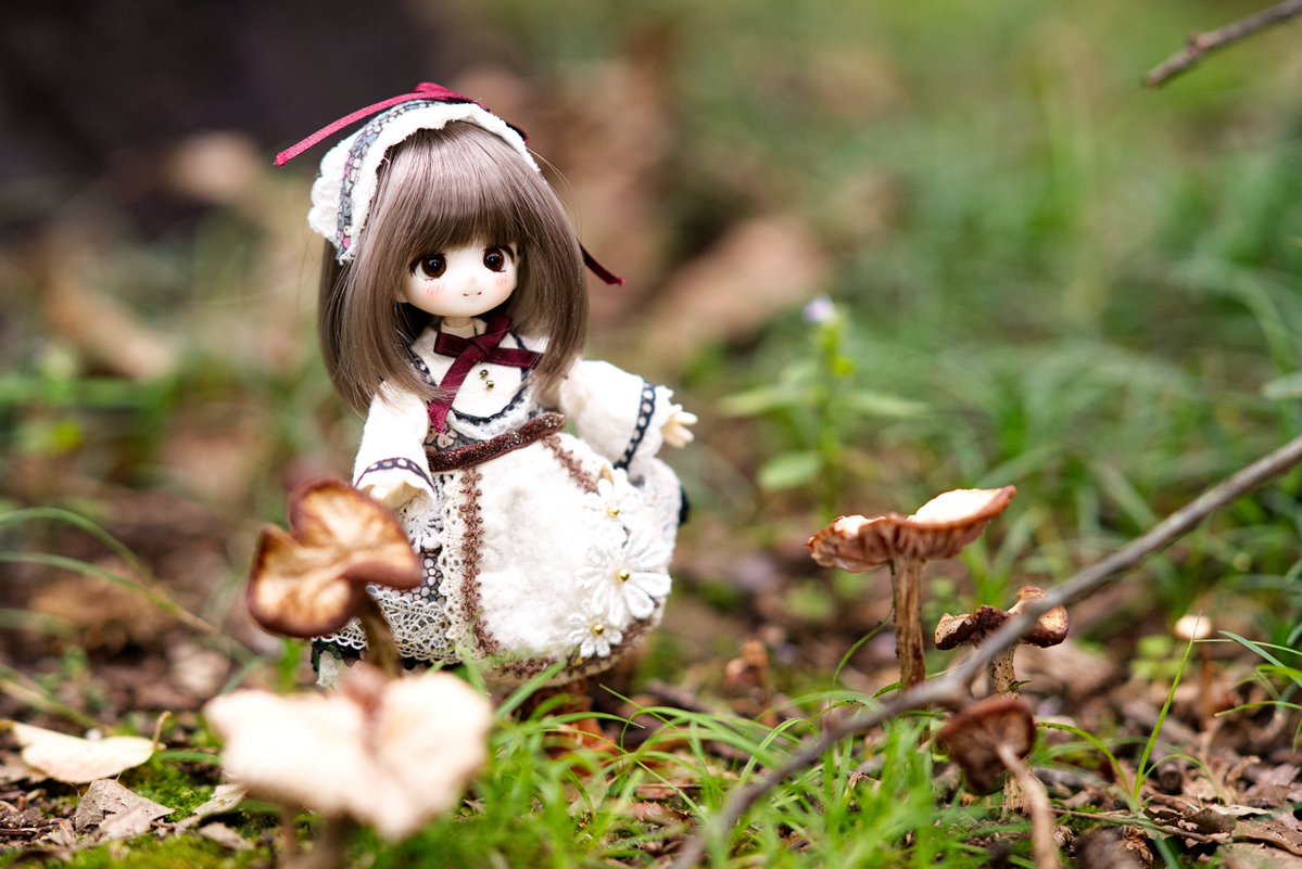 _HellNeko's tweet photo. 散歩してきた、秋って感じ。 https://t.co/Hr6xr9fPlN