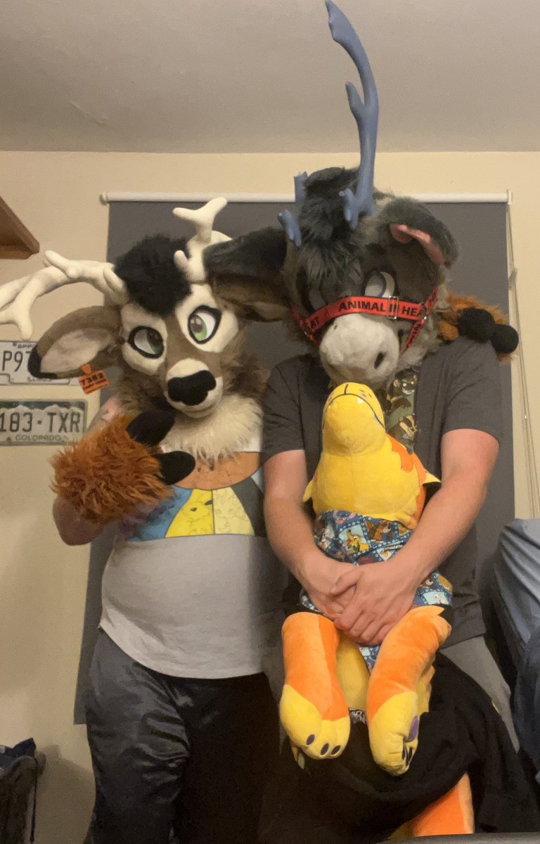 dapper_deer_AD's tweet photo. Who’s this cute lil guy???  Me and @KFloatzel spent the evening being goobers together.  And may have gotten some nice content for you all in the coming days so stay tuned~ https://t.co/Q9ItPQCB8Z