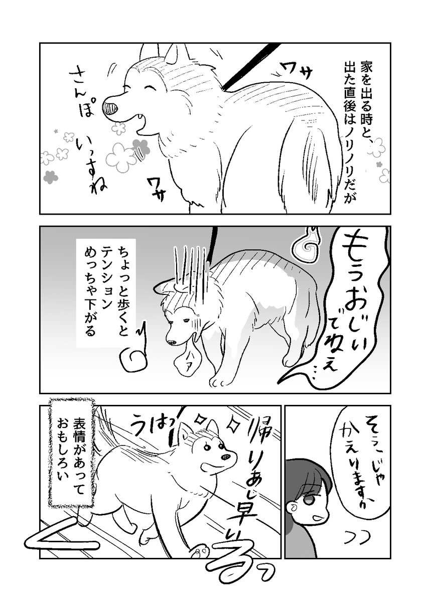 Aomushimm's tweet photo. おじいワン

#エッセイ漫画　#漫画が読めるハッシュタグ https://t.co/RL93WdzQOu