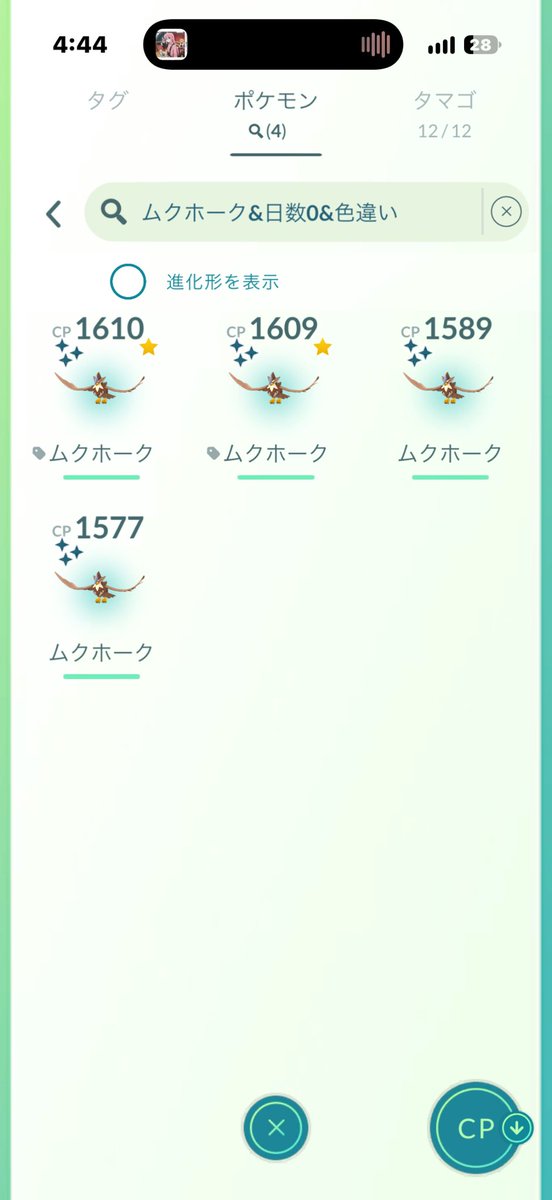 Fechannnnn's tweet photo. ムクホーク沢山捕まえた！！！
31匹捕まえて色違い4匹！そのうちの2匹は98%個体でめっちゃ運良かった！
 #ポケモンGO https://t.co/tefy4Ma6BC