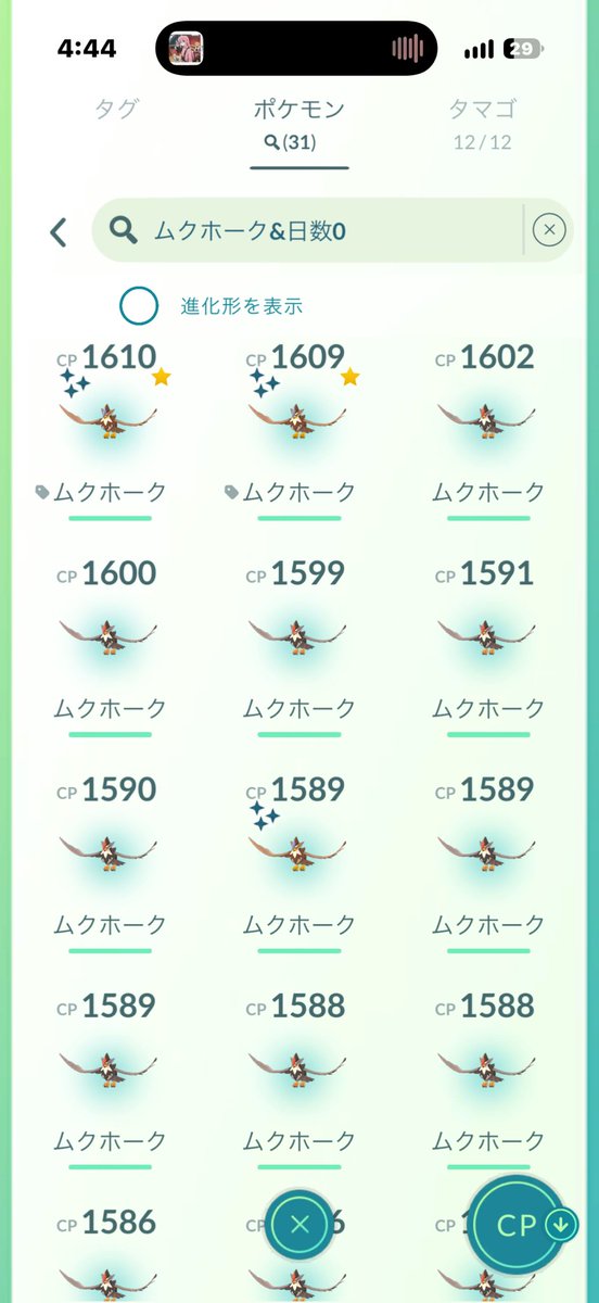 Fechannnnn's tweet photo. ムクホーク沢山捕まえた！！！
31匹捕まえて色違い4匹！そのうちの2匹は98%個体でめっちゃ運良かった！
 #ポケモンGO https://t.co/tefy4Ma6BC