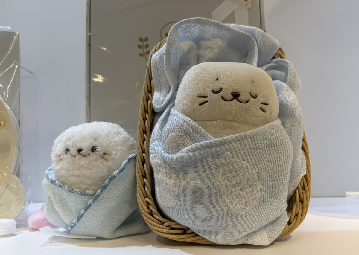 Shirotan_mochi's tweet photo. すやぁ……😴 https://t.co/o7vX1vUtiG
