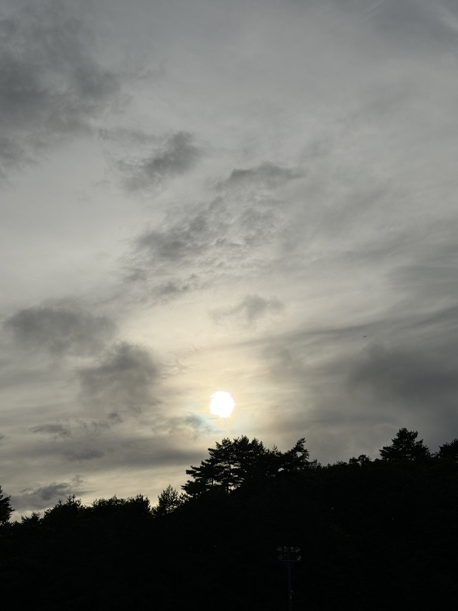 kazetorockBB's tweet photo. 今この時間の現地は皆半袖Tシャツです。気温22℃、風はほとんどありません。開催当日は長靴推奨です🫡 https://t.co/ACTbRXw8Wb