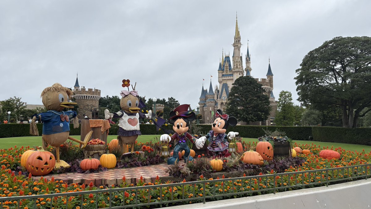 oharunabatake's tweet photo. ハロウィンっていいよなぁぁぁぁ！ https://t.co/LDqHuqKBxS