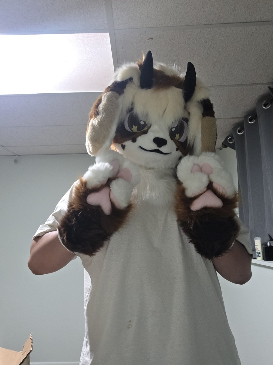 deyto2344's tweet photo. My partial #furryㅤㅤㅤ #fursuit
#vrchat https://t.co/HEVZxwiQYj