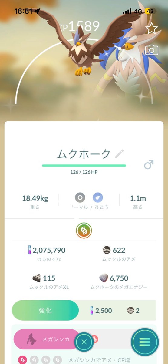 bompoke2536's tweet photo. 14分の1！
高個体は出なかったから元からいるリト100を解禁します👍
そんで秋葉原は雨でも人が多い😓 https://t.co/ZMDMRiVB0K