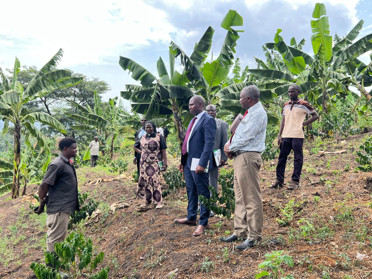 RudeMondayJ's tweet photo. STATEMENT ON MY PARLIAMENTARY OVERSIGHT VISIT TO KAGANDO RURAL DEVELOPMENT CENTER (KARUDEC)

Yesterday morning, Friday, 18 September 2026, I conducted a comprehensive parliamentary oversight visit to Kagando Hospital, the Kagando School of Allied Health Sciences, and Kagando University College.

This visit forms part of my ongoing legislative responsibilities to assess service delivery and support key institutions within Bukonzo East County. I commenced the morning by joining the community in devotion at the Kagando chapel, after which I proceeded to inspect various departments across the facility.

During my tour of Kagando Hospital, I was deeply impressed by the laboratory department. Their advanced technology firmly positions Kagando as a regional center of diagnostic excellence. I also visited the orthopedics workshop and highly commend the team for their innovation in manufacturing artificial limbs for amputees, as well as their vital work in fabricating and repairing wheelchairs. 

Furthermore, I inspected the hospital’s sustainability projects including the goat farm, coffee, and matooke plantations which are excellent models for institutional self-reliance.

In the education sector, I visited the Kagando Institute of Health Sciences and Kagando University College, an affiliate of Uganda Christian Universit. I applaud the management for their outstanding work in nurturing a student population of over 1,000 and consistently maintaining a national examination pass rate above 90%. 

In response to their urgent need for ICT infrastructure, I have promised to lobby for 20 computers to equip the institution's computer laboratory and enhance digital learning for our students.

I remain committed to monitoring, supporting, and lobbying for better services and infrastructure for the people of Bukonzo East.

Hon. Dr. Monday Julius RudeMember of Parliament, Bukonzo East County