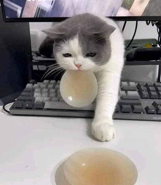 ColleenObaevuw's tweet photo. 満たされる感覚を追い求めるほど、欠落の深さに気づかされる。この不完全さこそが、今の自分には最も相応しい居場所なのかもしれない。 https://t.co/amcmrgh5Tg
