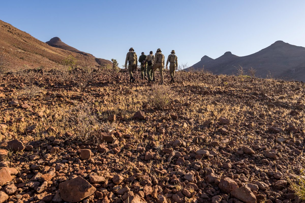 SRTNamibia's tweet photo. Today, SRT Rangers take on the challenge!

💪 21 km. 22 kg. One shared mission.

This is far more than a race. It is a powerful demonstration of strength, resilience and camaraderie.

Photography: Marcus Westberg

Learn more: https://t.co/SGJnxAc8jx https://t.co/ZyXDC4IlDx