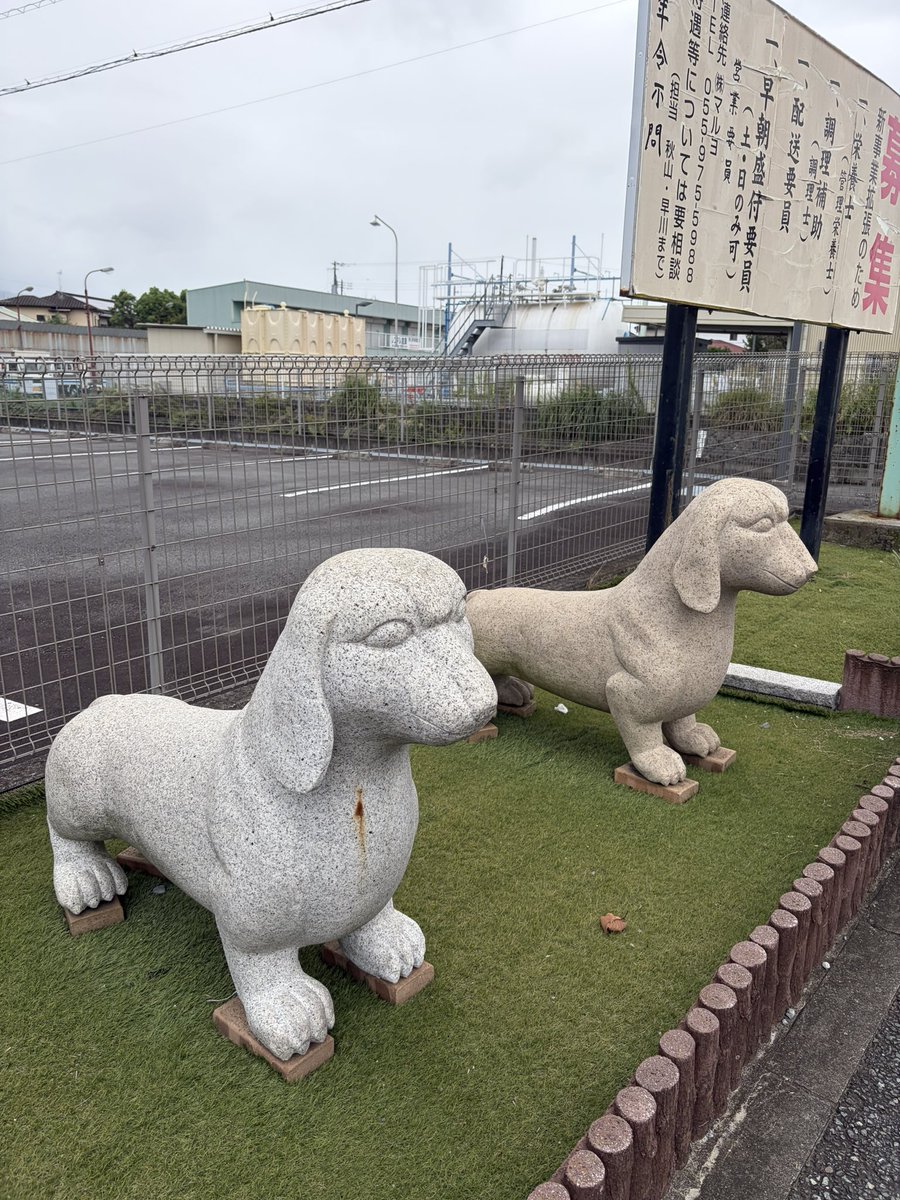 yukapandada's tweet photo. 唐突に犬像。何も説明はなかったし犬関連の店もない。 https://t.co/ceLYVJbezG