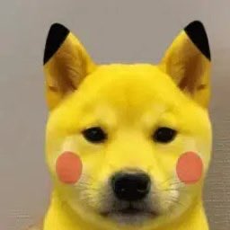 cabyaaa's tweet photo. pickachinu  

EMKvahsKUnQtWLRB63RWW6KBZUErAoDtEypgQutXfnrL https://t.co/Qk8tKnE6uh
