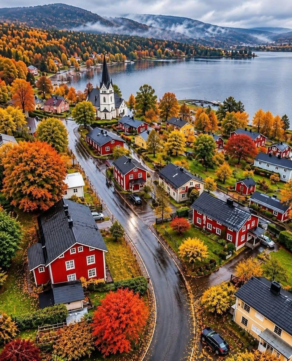 Alina_bloom79's tweet photo. Stockholm Sweden🍂🇸🇪 https://t.co/bDa7yJClov