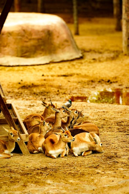 erickkass_0mc's tweet photo. realize, while your body to This the relief your returns balance. is tasha weltha⚫ https://t.co/yyqeXWRDYF