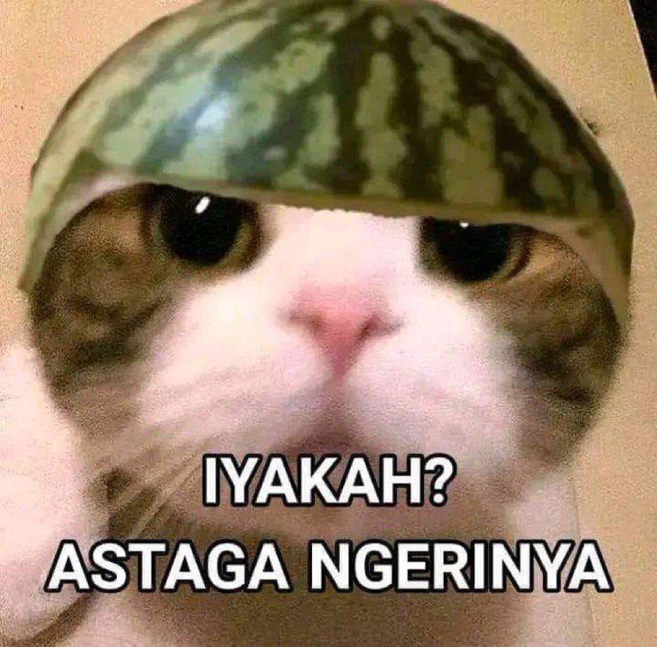 Naravdd's tweet photo. @blackbaccaraaa Kak bales pake stiker ini kak wkwkwk https://t.co/jpMyUYV72o