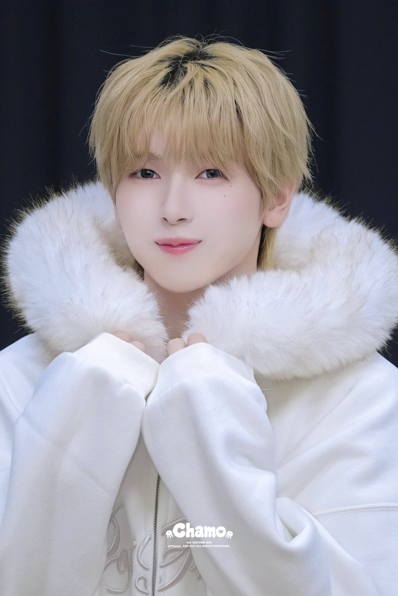 Chamo_SS81D25's tweet photo. 🪼260918🪼마이스타굿즈

早く冬にならないかな❄️🤍

#SEN #센
#VAYONN #베이온 https://t.co/6hnfQsktGn