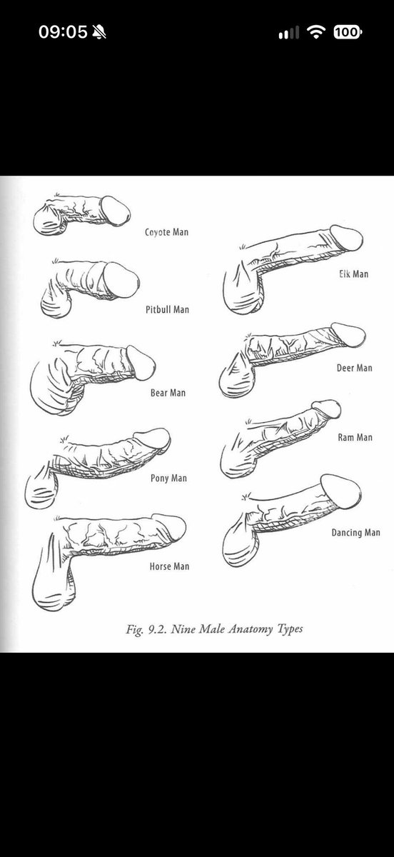 sil84096's tweet photo. Wats your Dick ? 
Send pics in comment ⬇️🍆😈
And whats mine ? https://t.co/uWguczxOAy