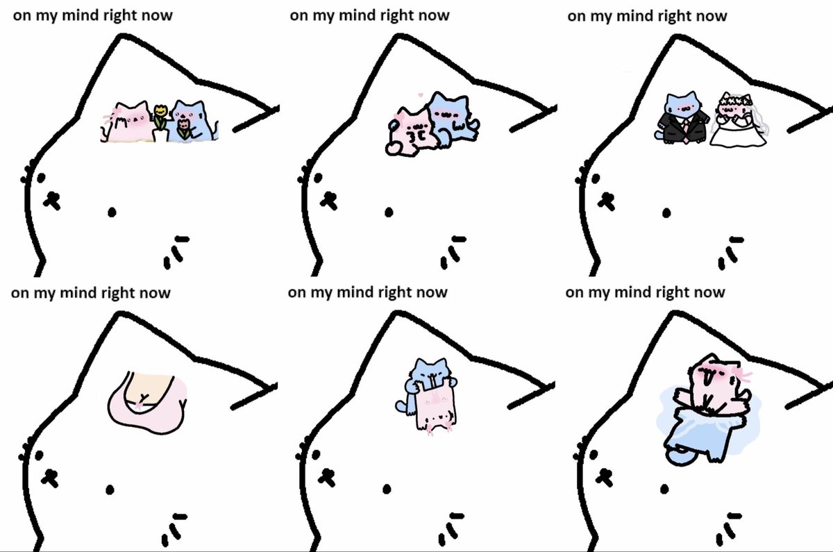 NubCatMemes's tweet photo. https://t.co/KukBj6G3XP