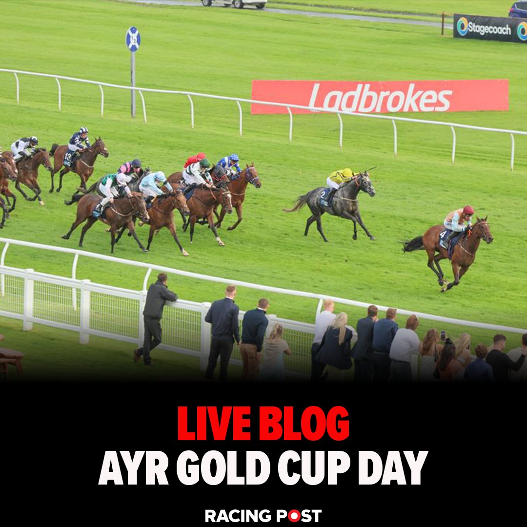 RacingPost tweet picture