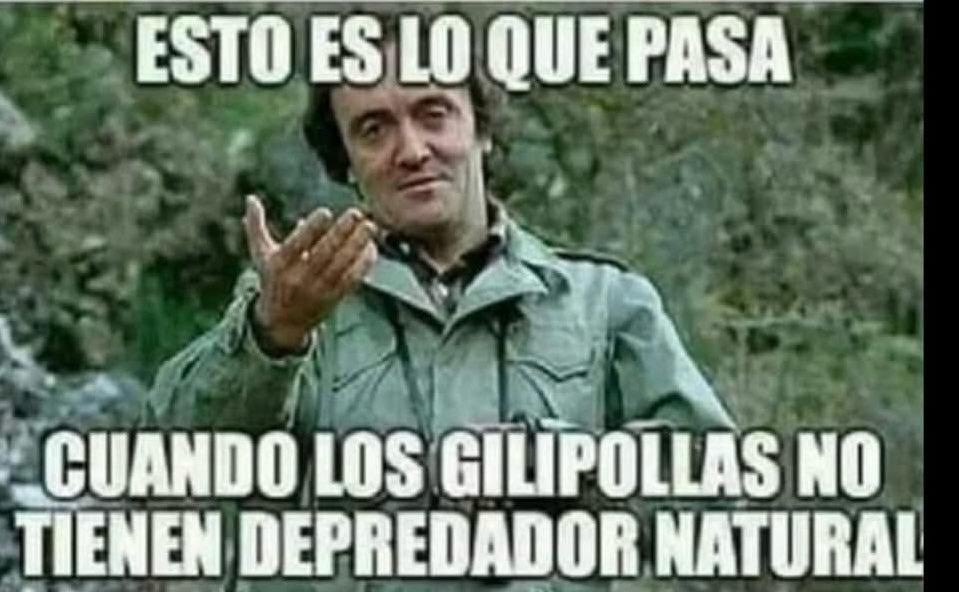 odelvaltorre's tweet photo. @sergipeke https://t.co/EOyzYPiAw4
