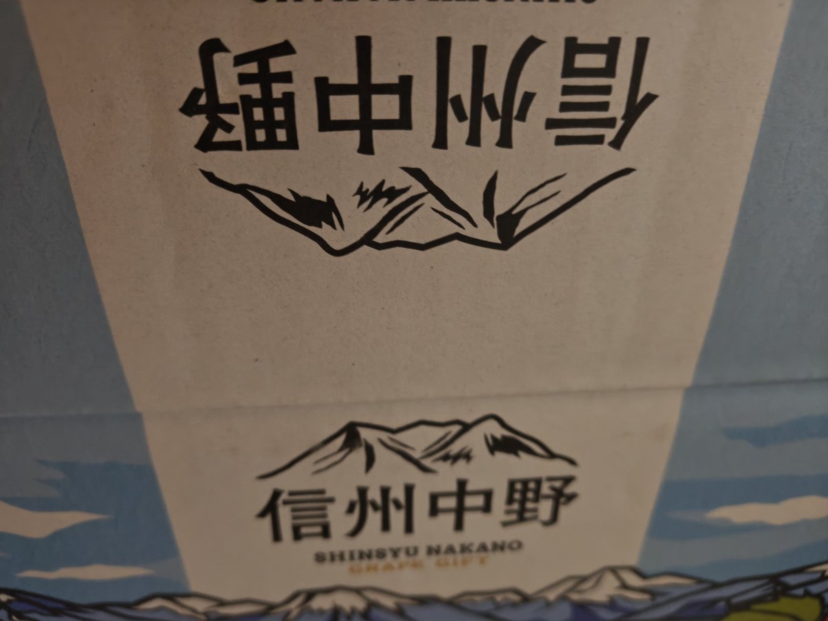 YusukeUchima's tweet photo. 今年も送ってもらえました。信州中野のぶどう🍇！ https://t.co/RMmRzNZVGN