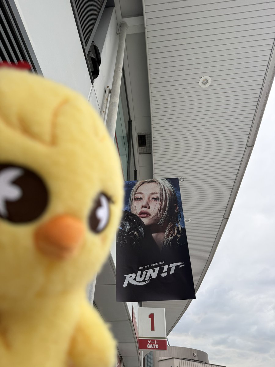 rachel09152000's tweet photo. 久しぶりの京セラ楽しみ😊🥰 https://t.co/QcLmmYXSMp
