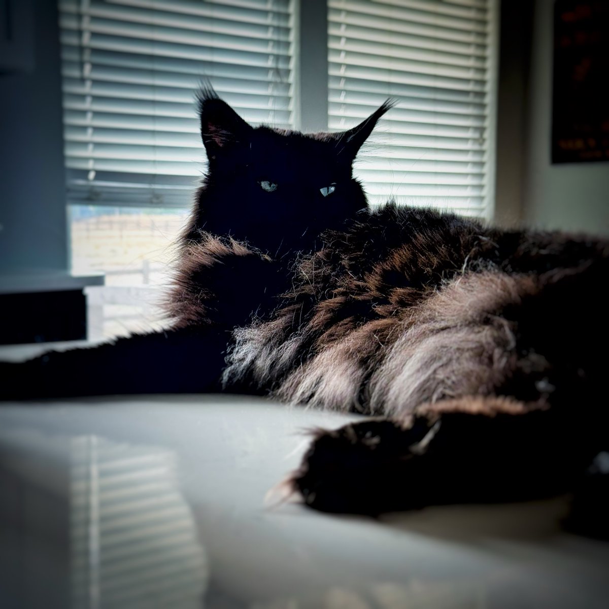 penelopemoore80's tweet photo. Miss Wednesday felt pretty yesterday. 210 of 365 https://t.co/fPqmpn9PE0