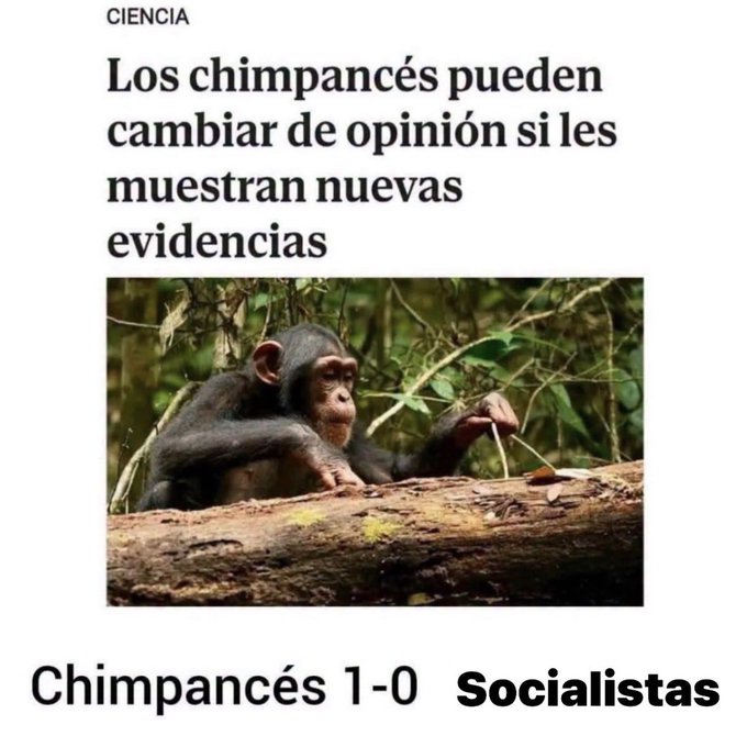 KOComunistas's tweet photo. https://t.co/GqS6nwBVYB