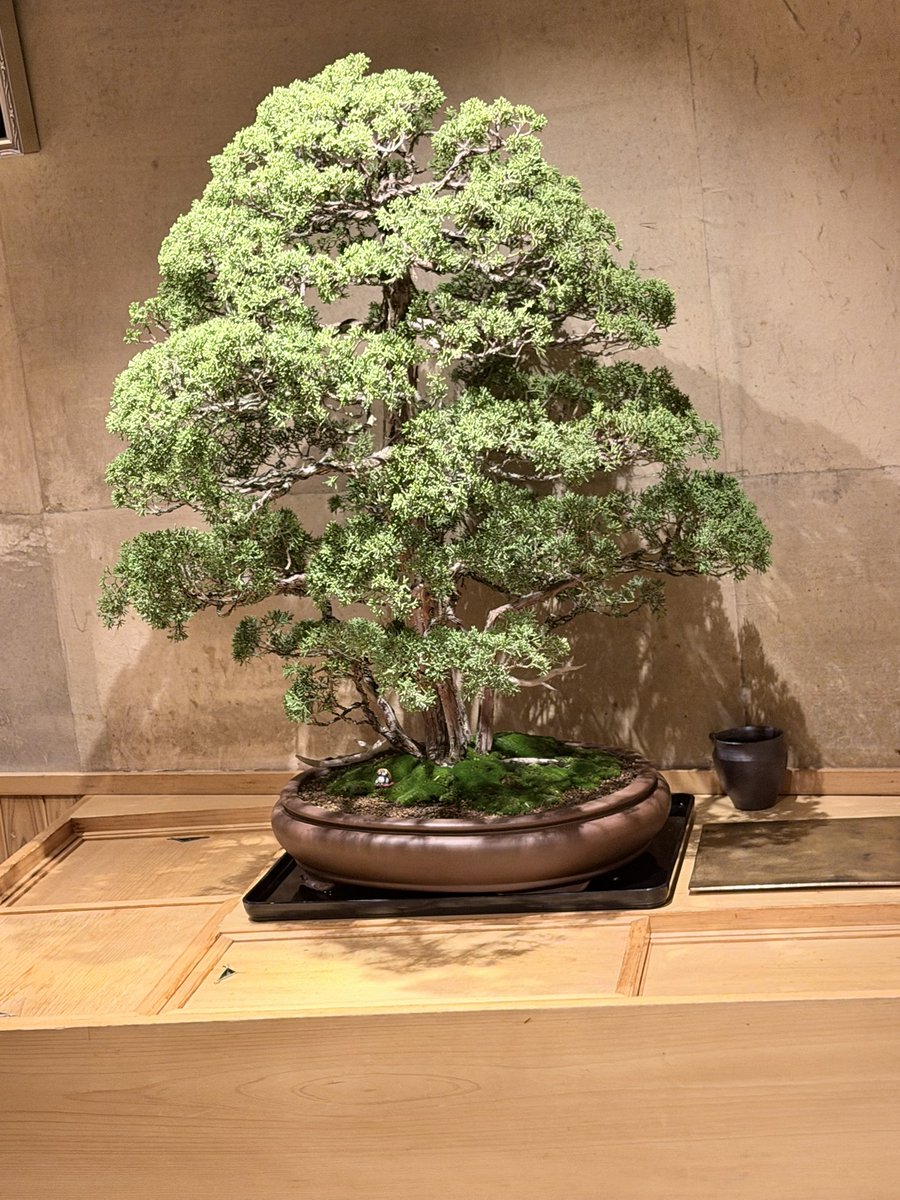 2525step's tweet photo. こんばんは♪ https://t.co/NHr2iMkiE8