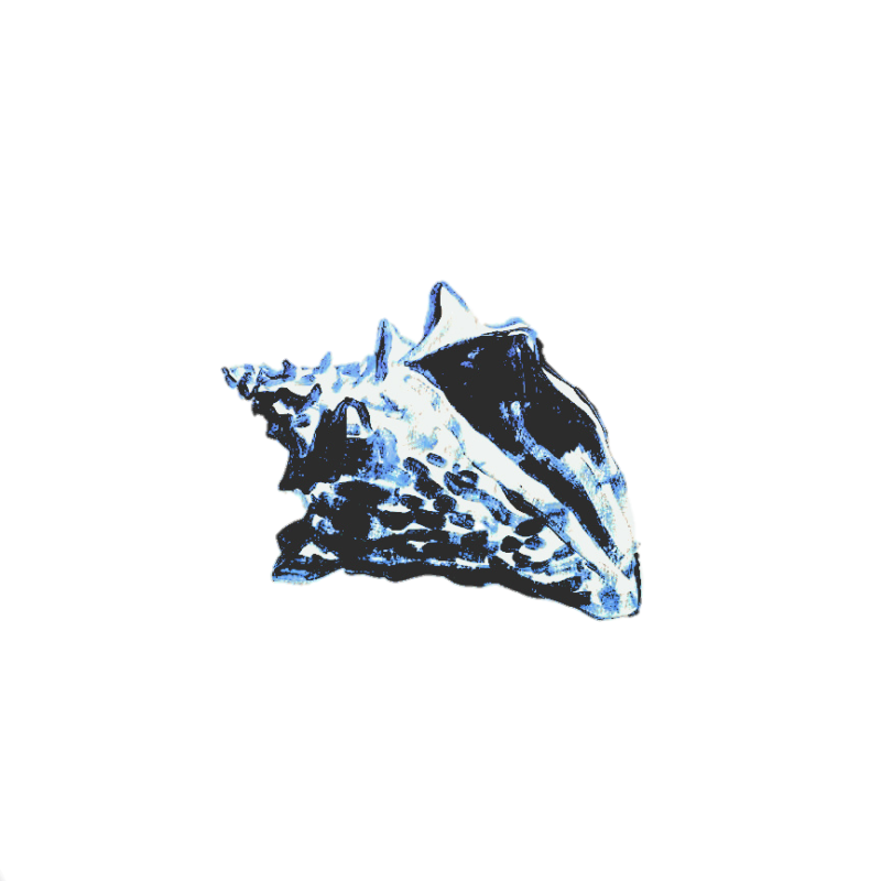 PALEBRINEE's tweet photo. ⠀⠀⠀⠀   𝓎ou      𝑤𝑖𝑙𝑙      𝑓𝑜𝑟𝑔𝑖𝑣𝑒      me      for      saying      what      𝚒     𝓪𝒎    ［  𓆝  ］      𝐭𝐢𝐝𝐞,     𝐬𝐢𝐥𝐞𝐧𝐜𝐞ᶠᵒᵃᵐ,    𝗱𝚎𝚙𝚝𝚑𝚜⎯⎯⎯a countenance     m͟ade     of    𝓼till     *𝕎𝐀𝐓𝐄𝐑." https://t.co/SvnZabGNLM