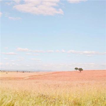 marycalvarez10's tweet photo. 🌸 🌱 🍂 💐 🔥 Visited a wind farm overlook, turbines spinning graceful giants   renewable whispers in breezy fields. https://t.co/oC5ww5YGP9