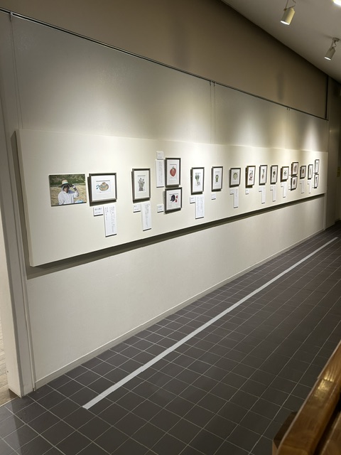 setsu0107's tweet photo. 掛川市二の丸美術館で原画展開催中です。たくさんの方にご来場頂けているとのことでうれしいです。販売中のトートバッグかわいいですよ。自分的にバナナのが好きです。
会期：9月15日（火）〜11月23日（月・祝） 9時〜17時 休館：月曜日（祝日は翌平日）
高校生以上700円（以下無料） https://t.co/7vrikpwPOQ