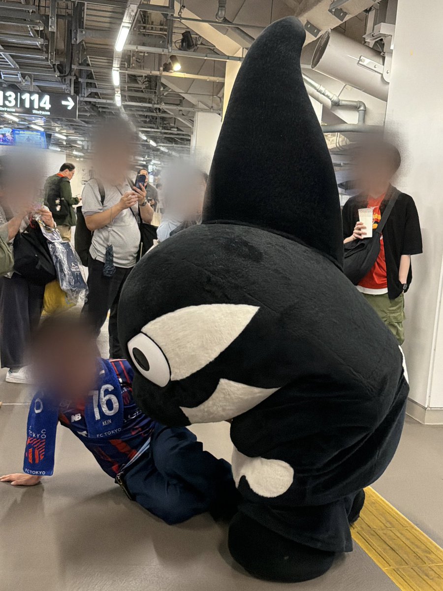 apricotchan711's tweet photo. グランパスくんに会えたはいいものの、
「水難事故大丈夫だった？」と聞くと""ガチで""めちゃくちゃ詰められた、の図
#grampus 
#fctokyo https://t.co/jU1S1TIiAW