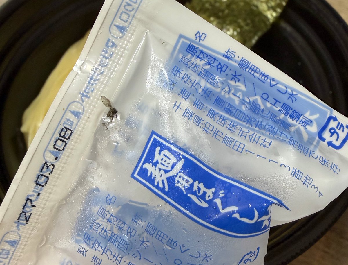 S__okowa's tweet photo. Uber Eatsでつけ麺頼んだらコバエの死骸入ってて憤死。 https://t.co/9vz3Cekmao