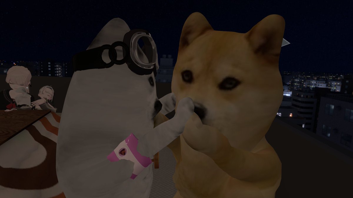 skg_vrc's tweet photo. おまけ 寝落ちぎみ doge2匹 独裁者の卵しーの https://t.co/bJXGydNLl6