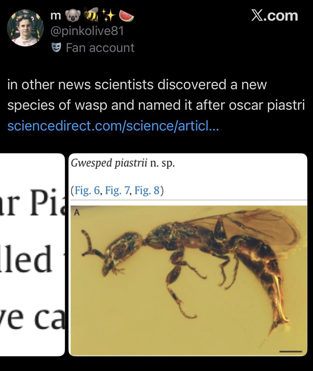 maxcarpilled's tweet photo. guys i found maxcar !! and they came in a pair 🌷🐝 https://t.co/pKJHS0eeOv