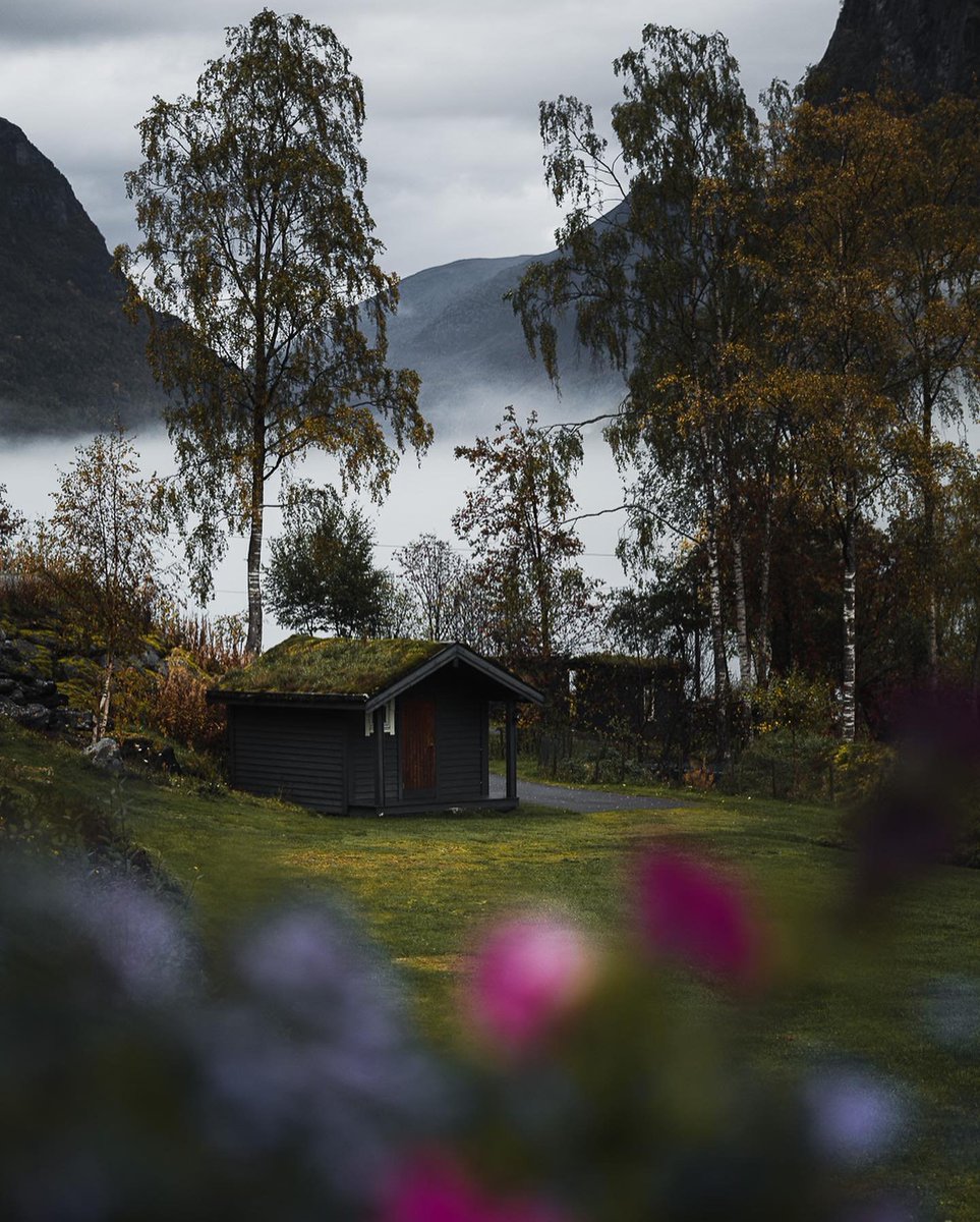 visualsofearth1's tweet photo. Norway https://t.co/qo8Xc6wbAA